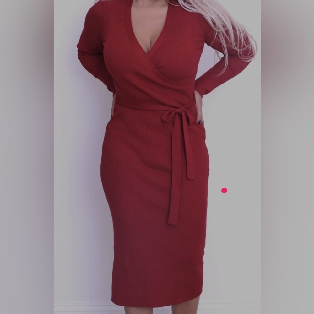 NEW WITHOUT TAG Sweater Dress small